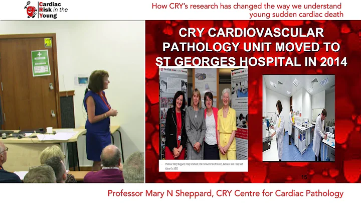 Prof Mary Sheppard - How CRYs research has changed...