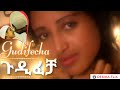  1997       gudifecha 2005 an ethiopian cinematic excellence