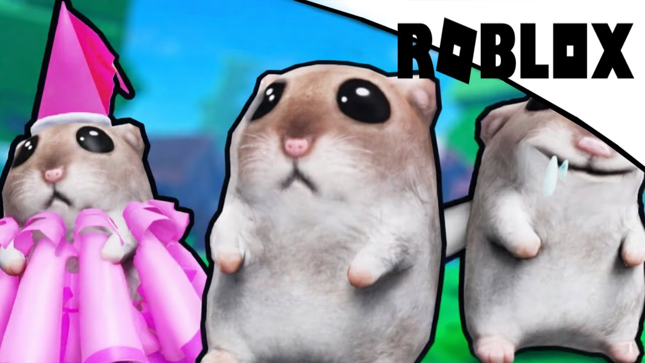 TROUVE Les HAMSTERS ROBLOX FIND THE HAMSTER 1 YouTube 