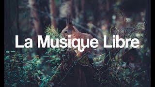|Musique libre de droits| Nasko - Root