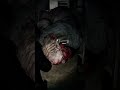 Leon kills fat boss Resident Evil 9 To be continue
