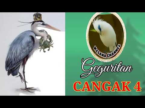 Geguritan Cangak bag.4 oleh I Nyoman Rede dan Dewa Aji Wanten yeh embang Negara
