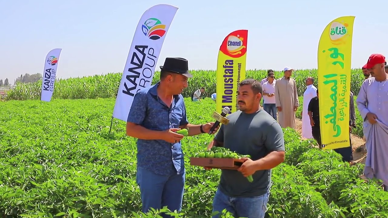 فلفل 9016 شركة كانزا جروب