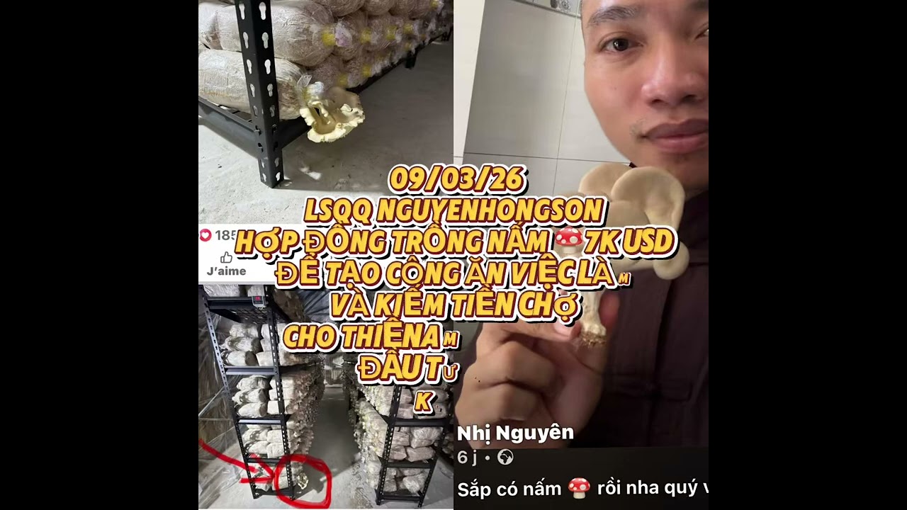 09/03/26NHS HỢP ĐỒNG TRỒNGNẤM 7K USD ĐỂ TẠO CÔNG ĂN VIỆC LÀM KIẾM TIỀN CHỢ CHỨ KHÔNG ĐẦUTƯ KINHDOANH