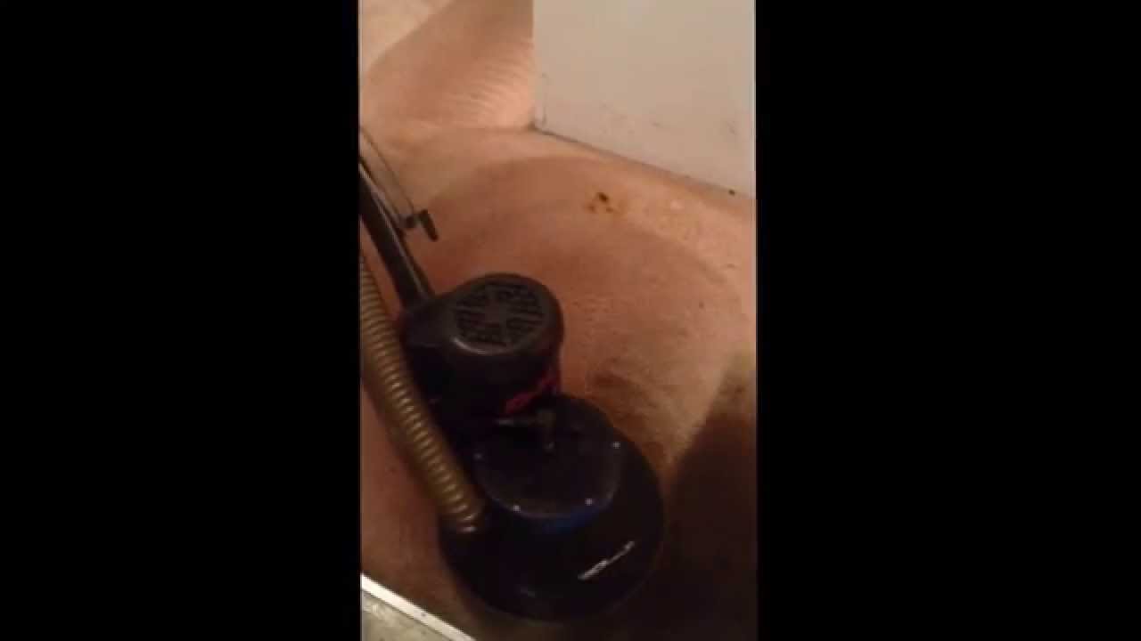 SaniTECH Restores 12 year old filthy carpets!