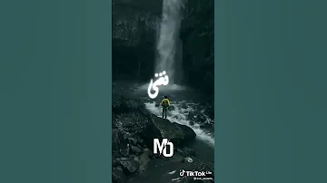 حالات واتس اب Cheb Aziz Staifi Hkaya Hnina 