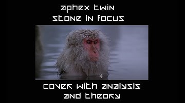 Aphex Twin - Stone in Focus Cover with Analysis and Theory