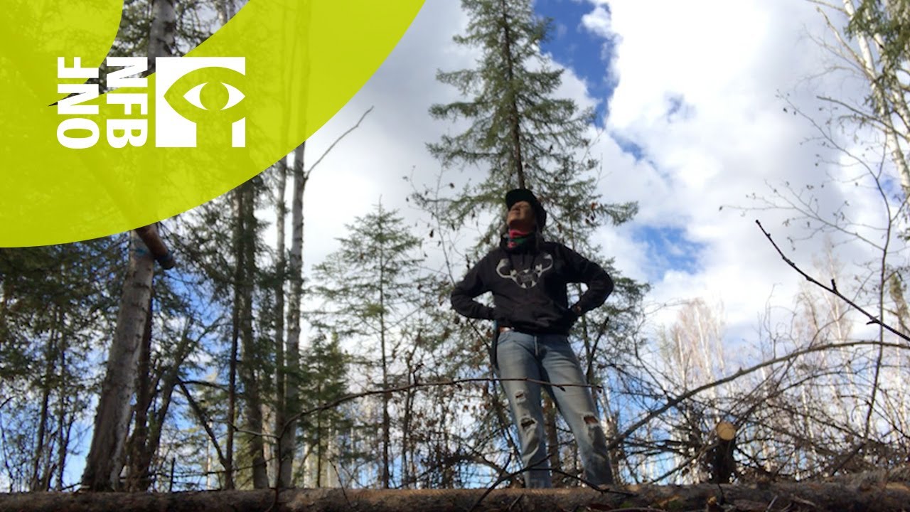 Documentary backdrop image for Lights, Camera, Pivot! -k'i Tah Amongst the Birch (2020)