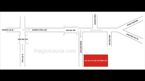 Câu cá lóc - GIải câu hồ câu cá Vĩnh Lộc