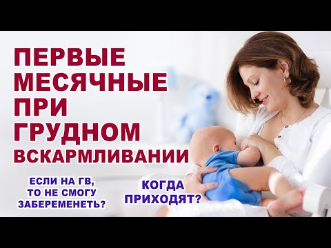 Когда может начаться менструация при грудном вскармливании? Месячные после родов. ГВ и овуляция.