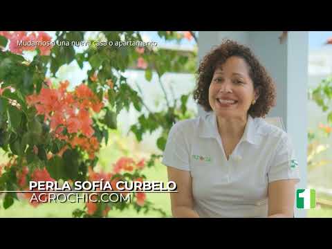 Capitulo #1 Estrategias para enverdecer tu nuevo hogar por Perla Sofía Curbelo de Agrochic