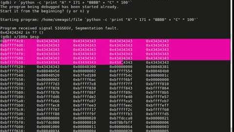 Lord Of The Root Binary Exploit