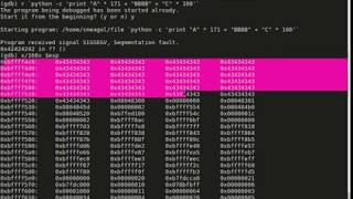 Lord Of The Root Binary Exploit