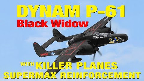 Dynam P-61 Black Widow - Like a Black Widow Baby!