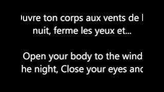 Garou & Céline Dion - Sous le vent (LYRICS   TRANSLATION)