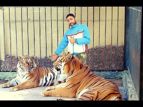 Discovery Into The Jungle Jardin D'essai Hamma In Algeria 2018 #VLOG 5