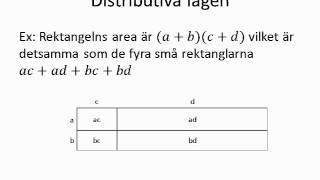 polynom 2