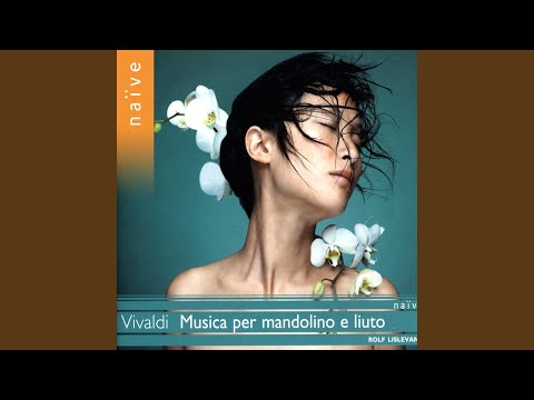 Mandolin Concerto in C Major, RV 425: I. Allegro
