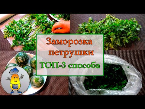 Заморозка петрушки впрок ТОП-3 способа: как заморозить петрушку на зиму