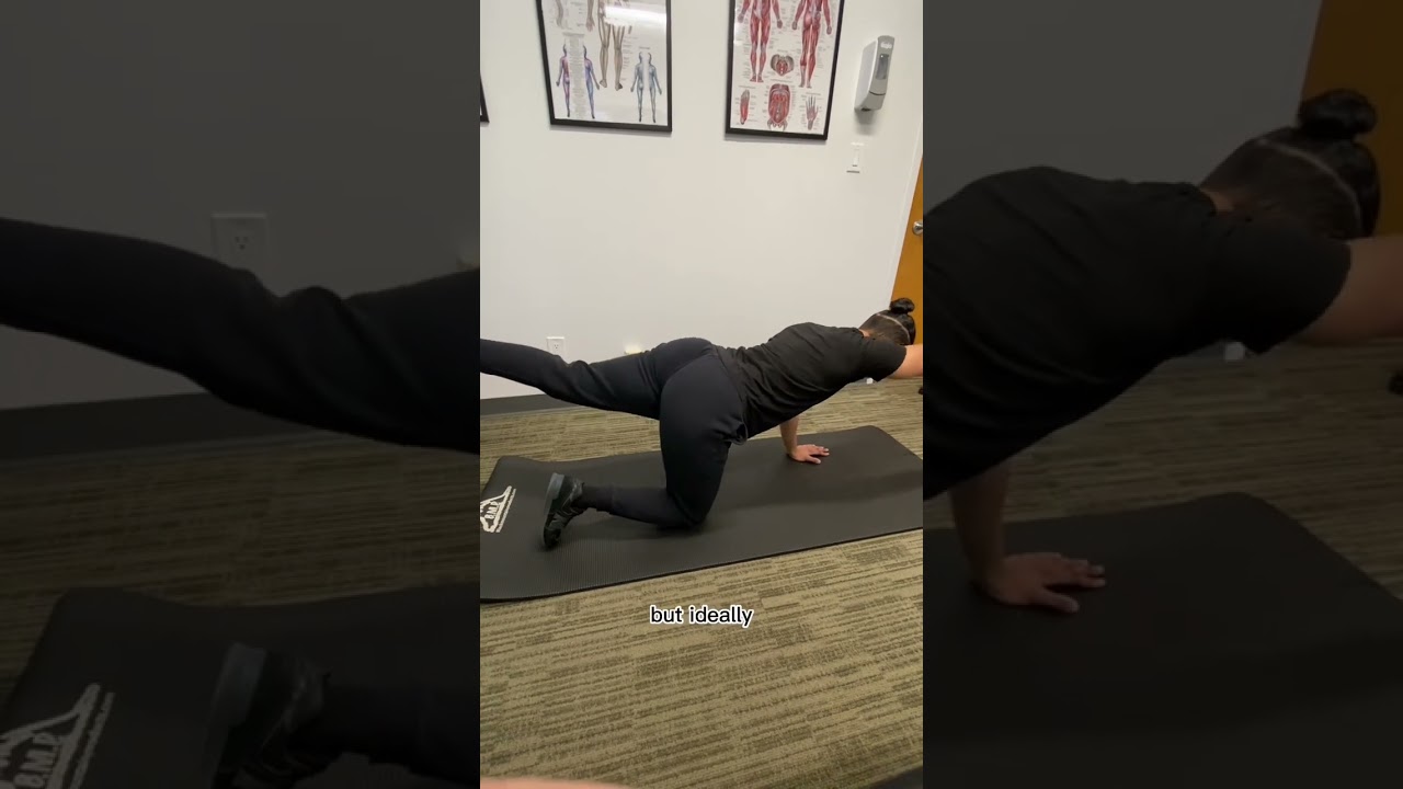 Bird dog for back pain 