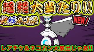 ゆにゃたーん mqdefault.jpg