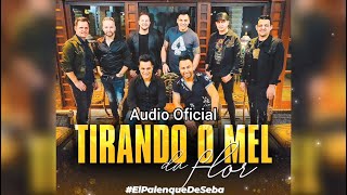 Tirando o Mel da Flor - Banda San Marino  (Audio Oficial)