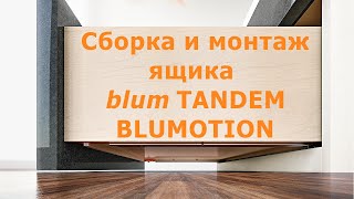Сборка и монтаж ящика Blum Tandem Blumotion