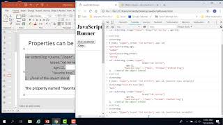20c. JavaScript Object Literal Property Types
