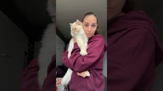 ЯА ты мне поставил лайк #tiktok #funny #familyhumor