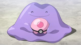 Ditto gives back Navi's Dream Ball 😄