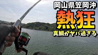 真鯛フィーバーの中からチヌを引きずり出す！in 岡山県笠岡沖