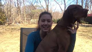 Famous Outtakes - Catalyst Summer Program 2021 - Aria Rechsteiner's Personal Interest Application Wealth
