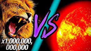 Can 1,000,000,000,000 Lions Defeat the Sun?