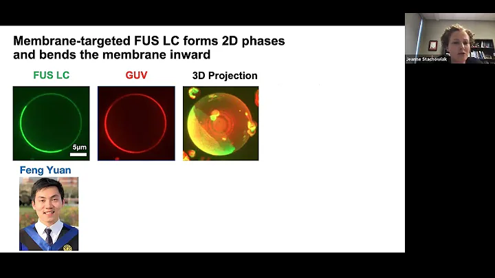 Build-a-Cell seminar Jeanne C. Stachowiak: Flexibl...