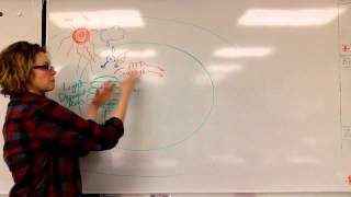 Photosynthesis Simplified