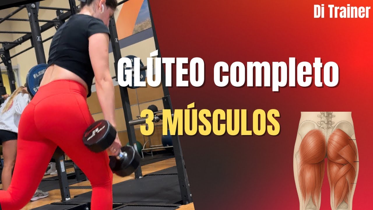 Entrená el glúteo completo: Ejercicios para cada músculo 🔥