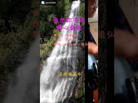 [ 達達之音 ] 我想你不是真心愛我 ~~民歌懷念彈唱