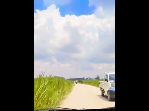 #coversong #nature #beautiful #agriculture #cover #love #farming #villagelife #automobile #natural