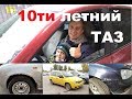 10ти летняя калина - ЧТО С НЕЙ СТАЛО? Стоит ли брать?