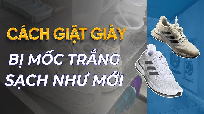 Cách Giặt Giày Thể Thao Trắng: Hướng Dẫn Chi Tiết Từ A Đến Z