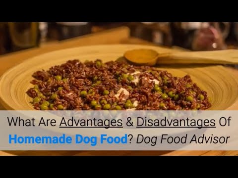 what-are-advantages-&-disadvantages-of-homemade-dog-food?-dog-food-advisor