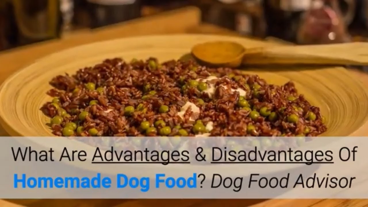 What Are Advantages & Disadvantages Of Homemade Dog Food? Dog Food