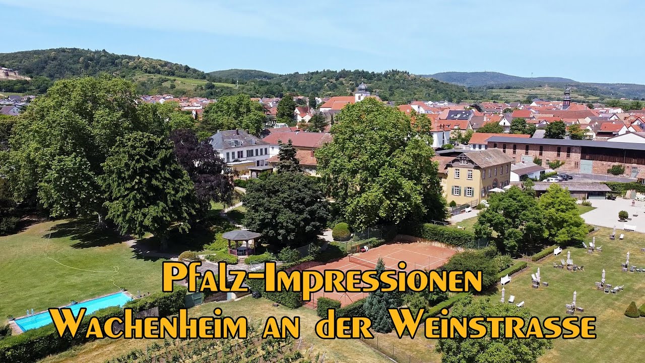 Pfalz-Impressionen /// Wachenheim an der Weinstrasse