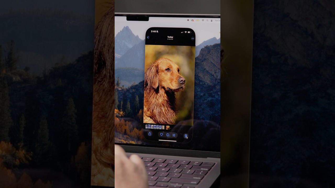 This “Hidden” iPhone Feature is The Best Way to Transfer Files and Photos