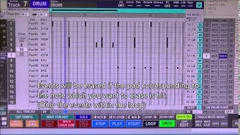 JJ-Sequencer (NOTE ERASE button)