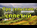 ПРО СЕЛЬСКИЕ СПЛЕТНИ. ПОУЧИТЕЛЬНАЯ ИСТОРИЯ.