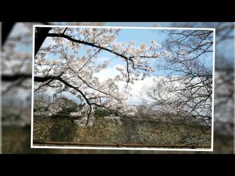 Top 10 Travel Destinations in Osaka Japan Top 10 Travel Destinations in Osaka Japan