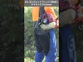 オレゴンジェットフィット2本出し テラマックス4.5mmで草刈りしてみました