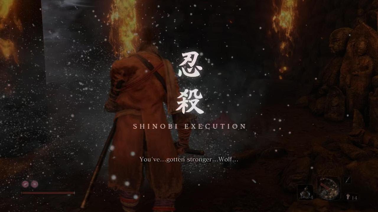 Best Lady Butterfly fight ive ever done