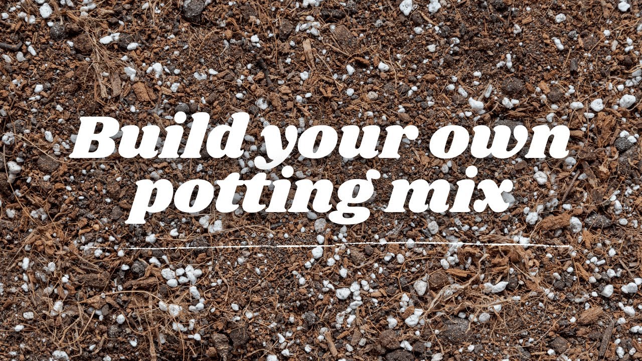 How to build your own potting mix for houseplants | ft. My 'Go-to ...
